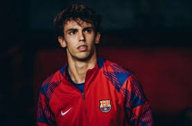 综合体育门户平台功能介绍 提供全面体育服务