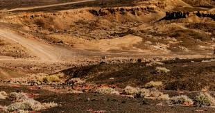 连锁反应！巴萨交易间接阻碍C罗，新月锁定莱万，争冠更难了